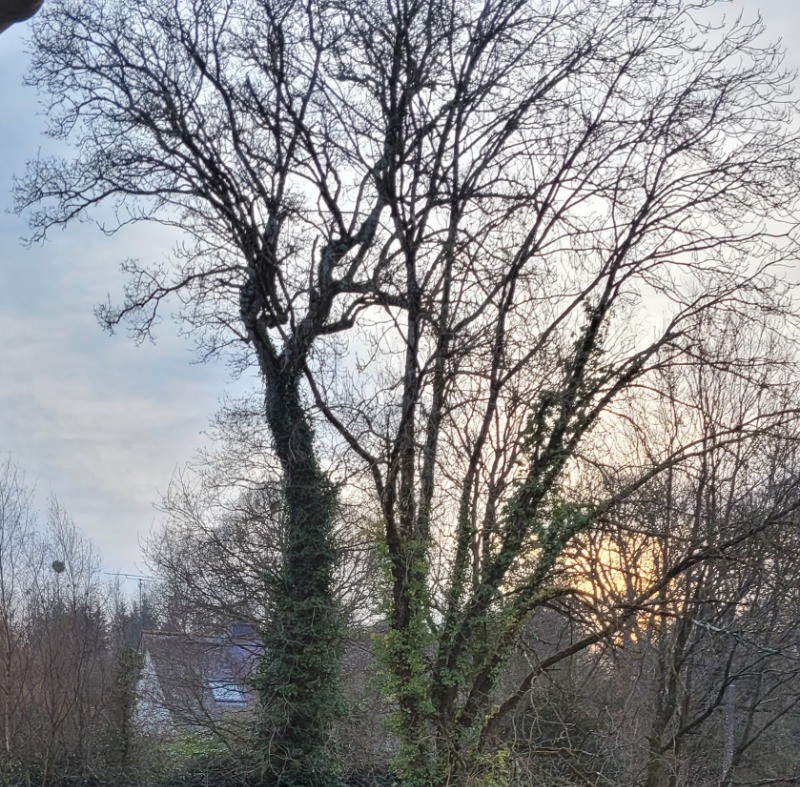 STUDIO COCOON et SPACIEUX POUR 2 PERSONNES - PLAINTEL - ST BRIEUC - COTES D'ARMOR - BRETAGNE