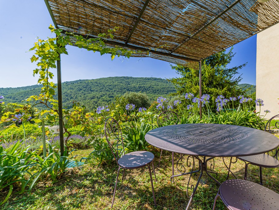 JARDIN AVEC BBQ ELECTRIQUE