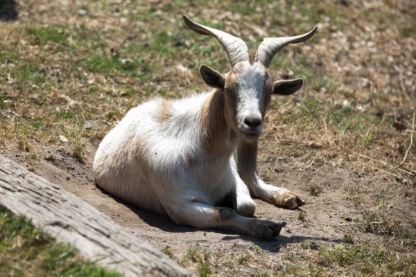 Photo n° 16 of the location