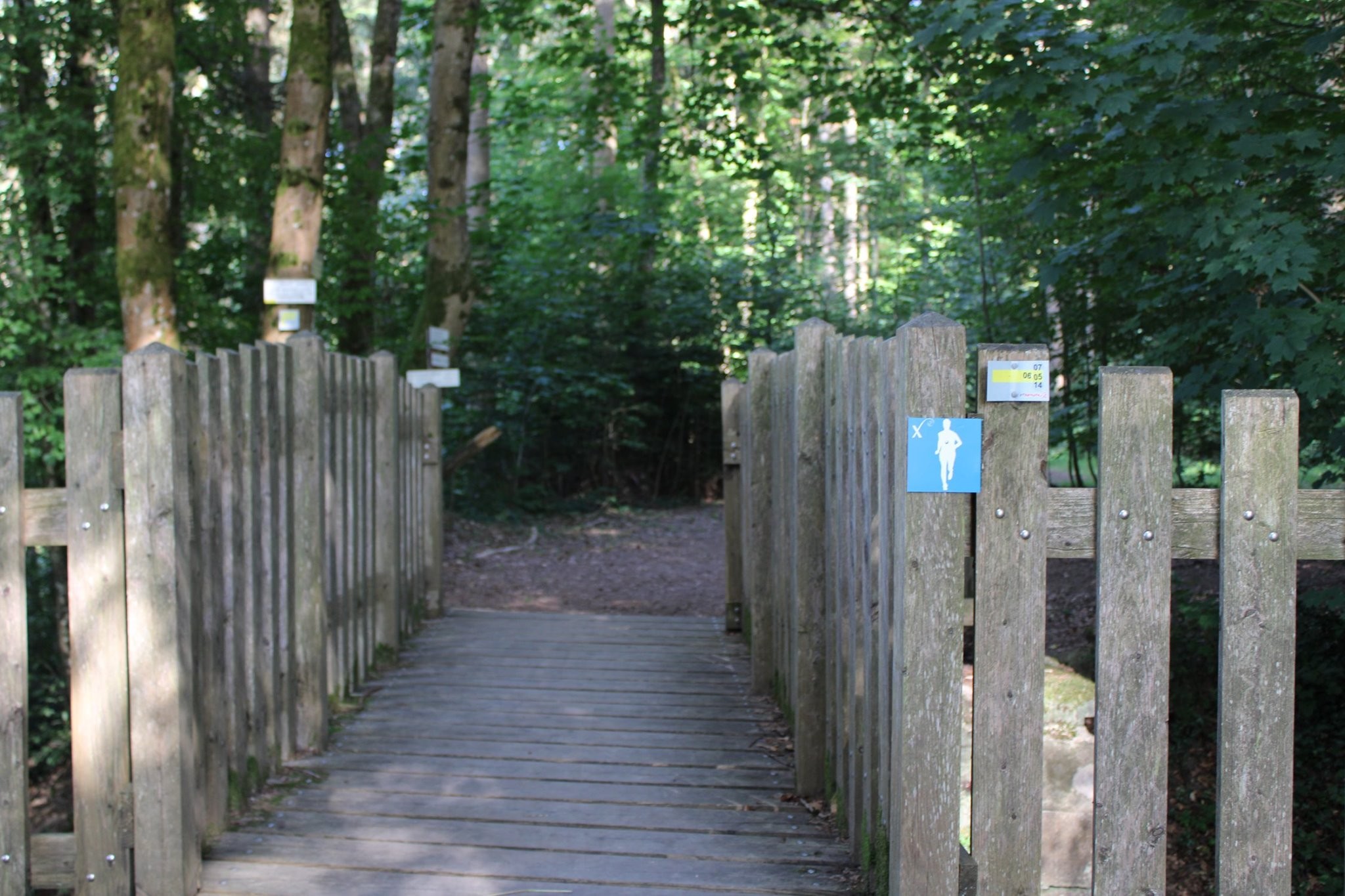 Parcours de Trail