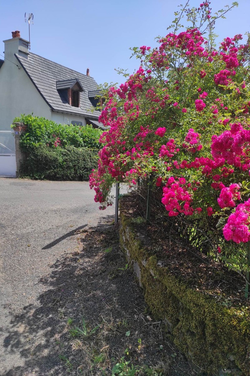 Photo n° 14 de la location