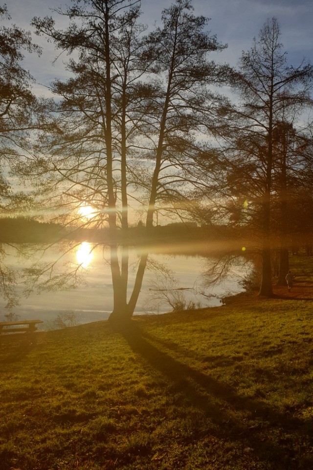 Le cocon est à 15 minutes du Lac des Sapins, 1ère baignade naturelle d'Europe