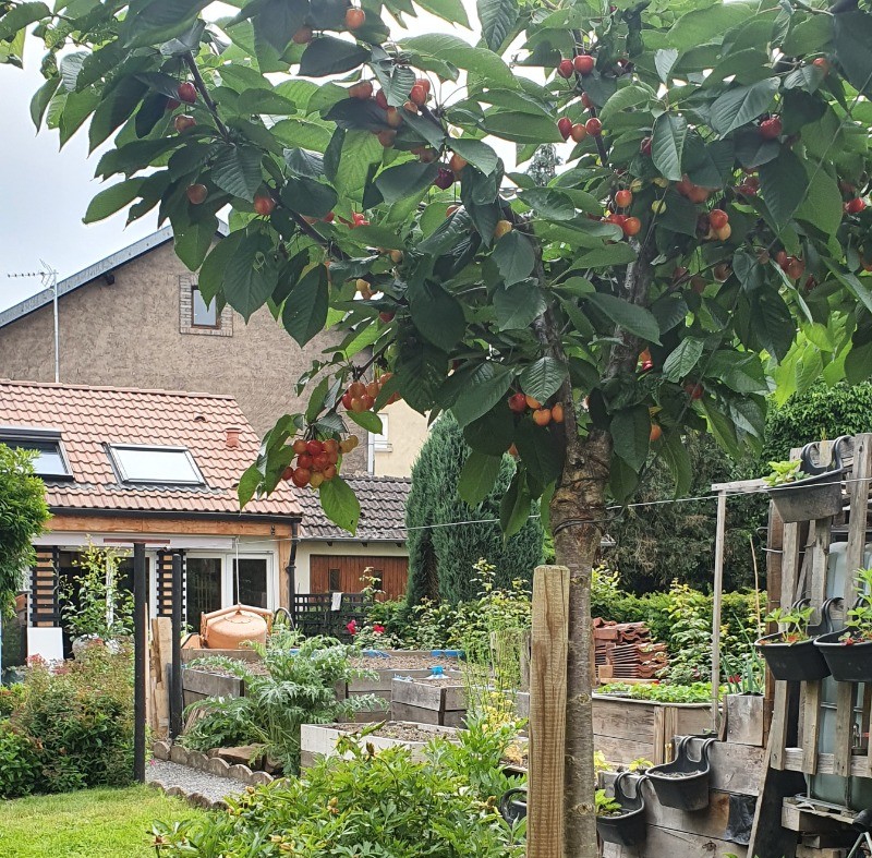 Vue façade extérieure - Chalet confort "La Casetta" à proximité d'Epinal