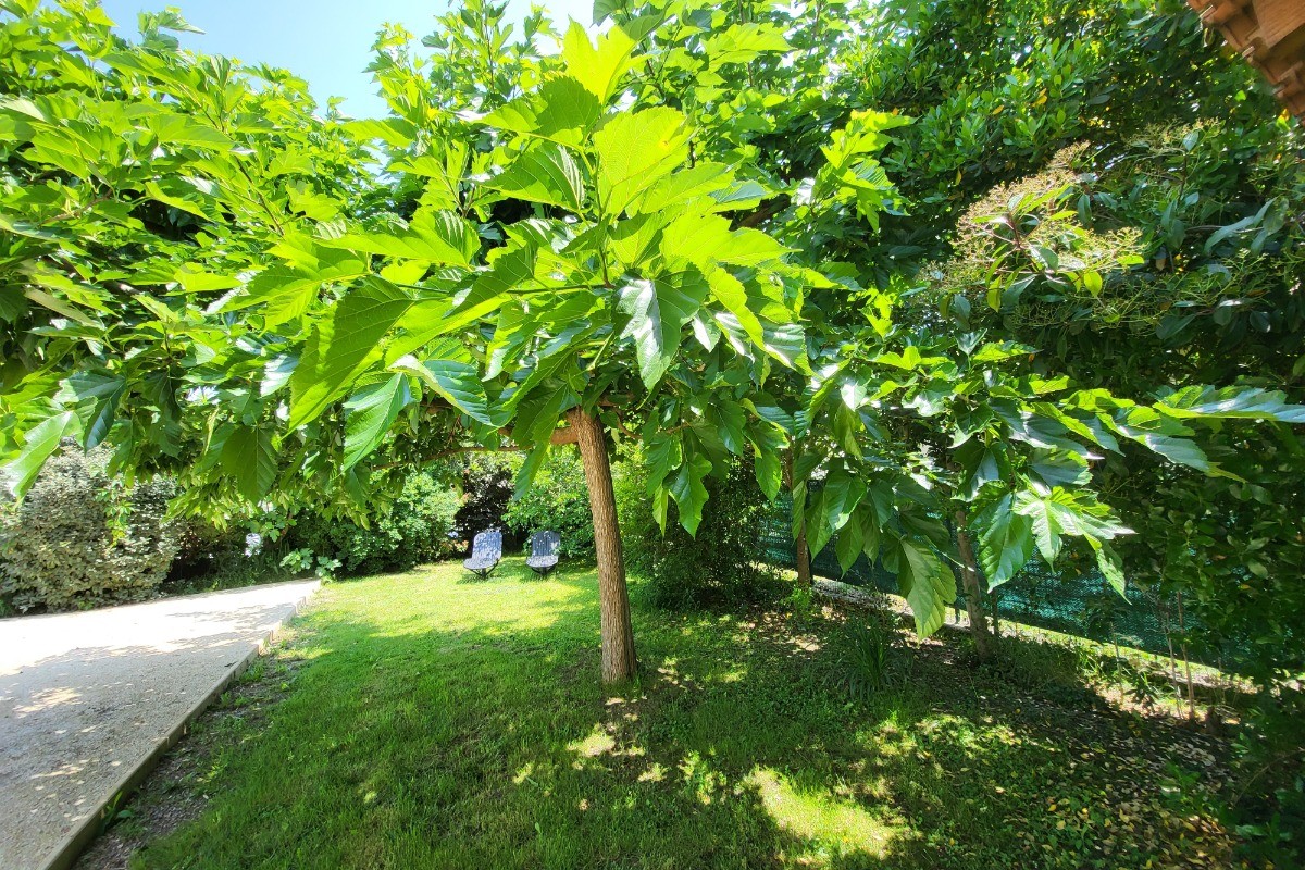 jardin