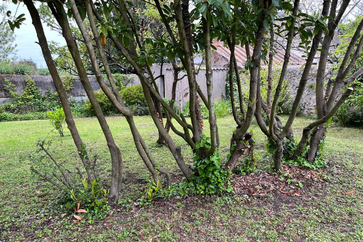 Photo n° 10 of the location