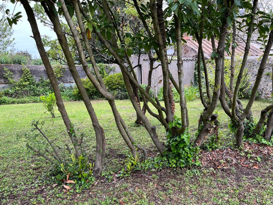 Photo n° 10 de la location