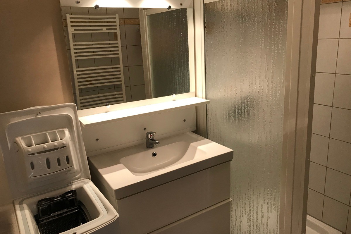 salle de bain, douche et lave linge