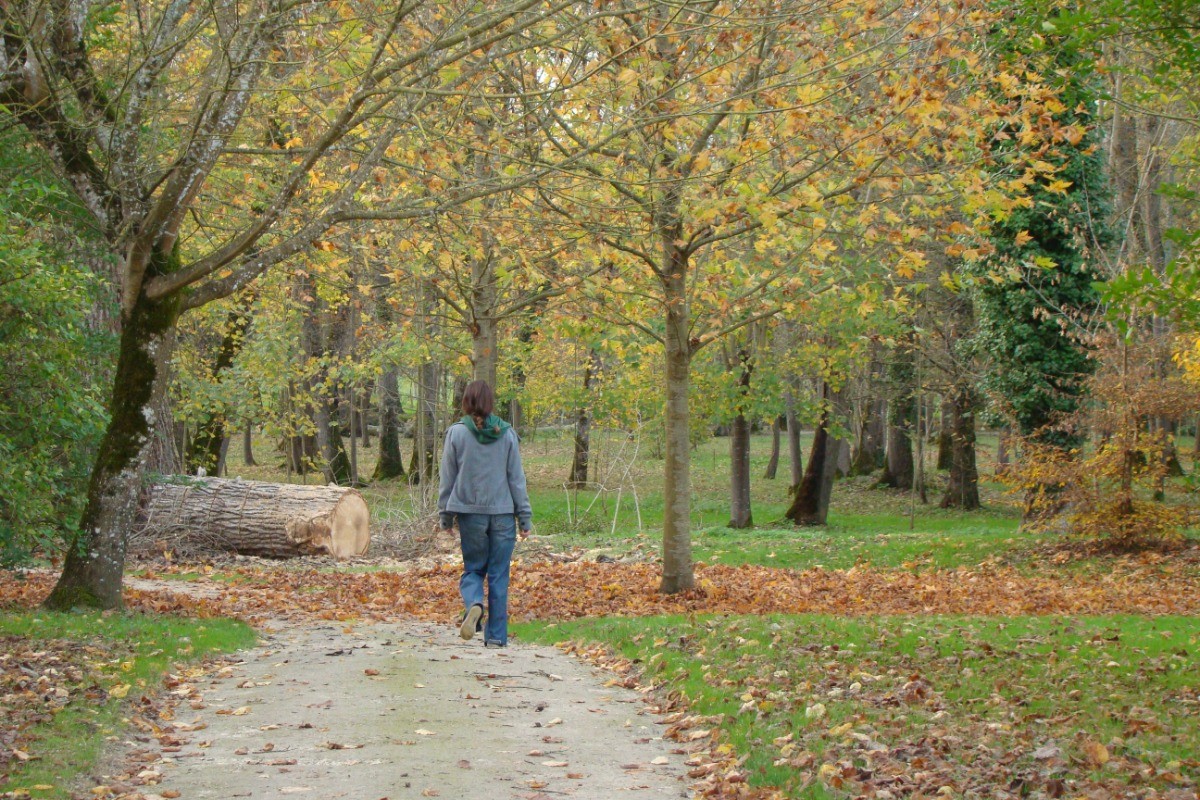 SAINT-DIZANT-DU-GUA - Parc du Château de Beaulon © CMT17 E. COEFFE