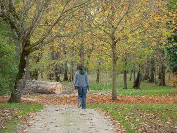 SAINT-DIZANT-DU-GUA - Parc du Château de Beaulon © CMT17 E. COEFFE