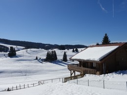 Image n° 2 de la location