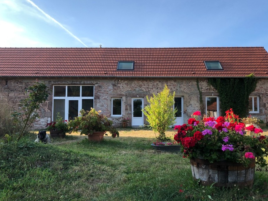 Photo n° 1 of the location