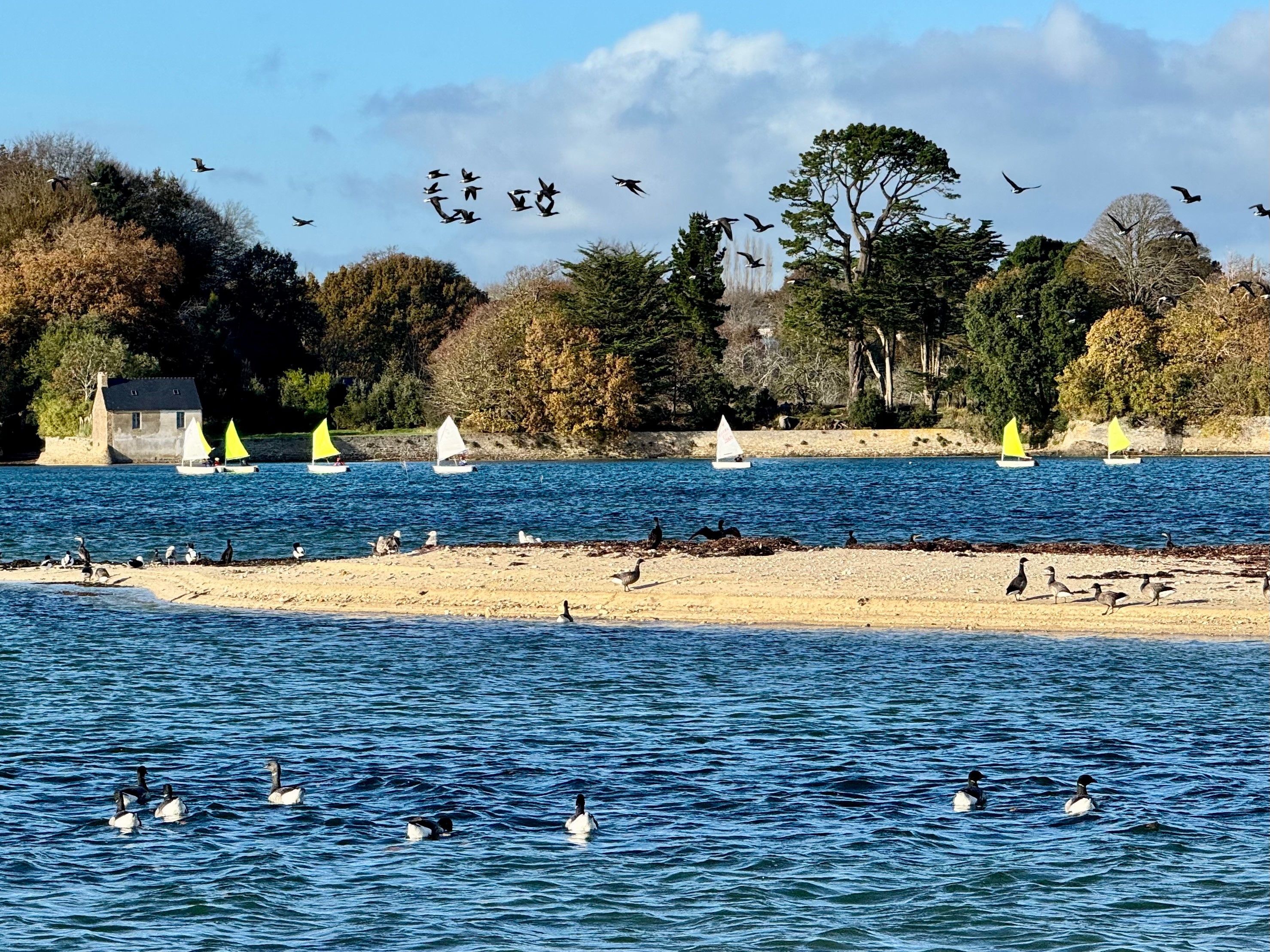 The cove of Penfoulic