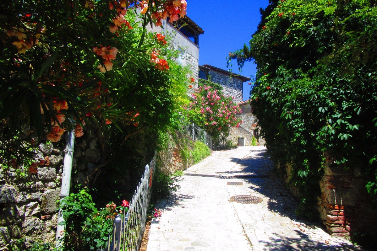 rue de ferracap
