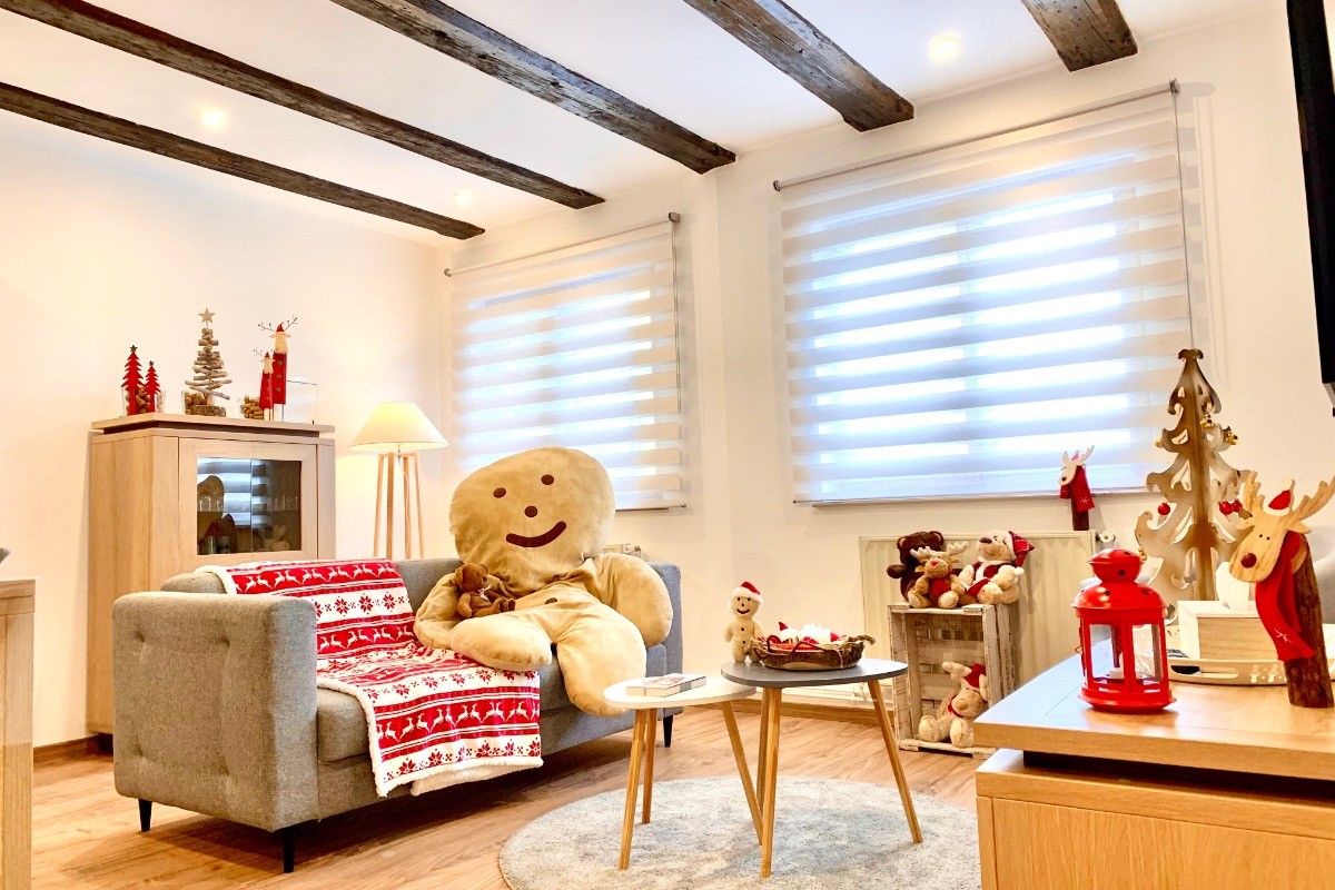 Un petit air de Noël au gîte… Manala vous cédera volontiers sa place sur le canapé !