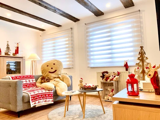 Un petit air de Noël au gîte… Manala vous cédera volontiers sa place sur le canapé !