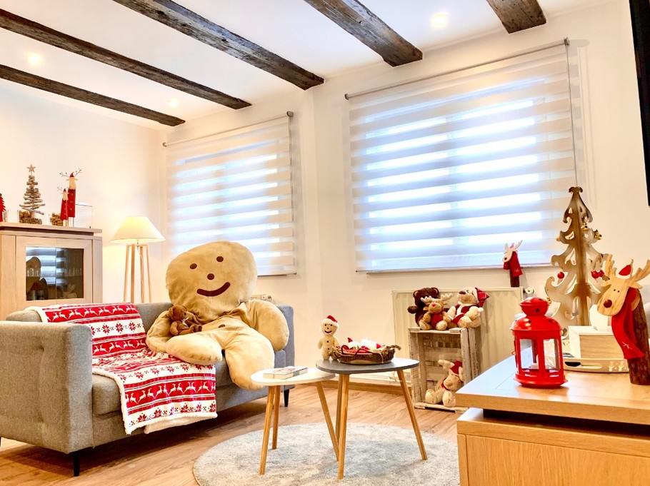 Un petit air de Noël au gîte… Manala vous cédera volontiers sa place sur le canapé !