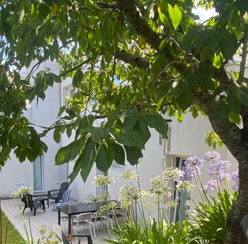 Photo n° 3 of the location
