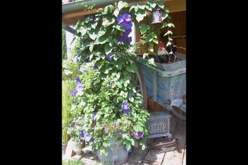 Photo n° 8 de la location