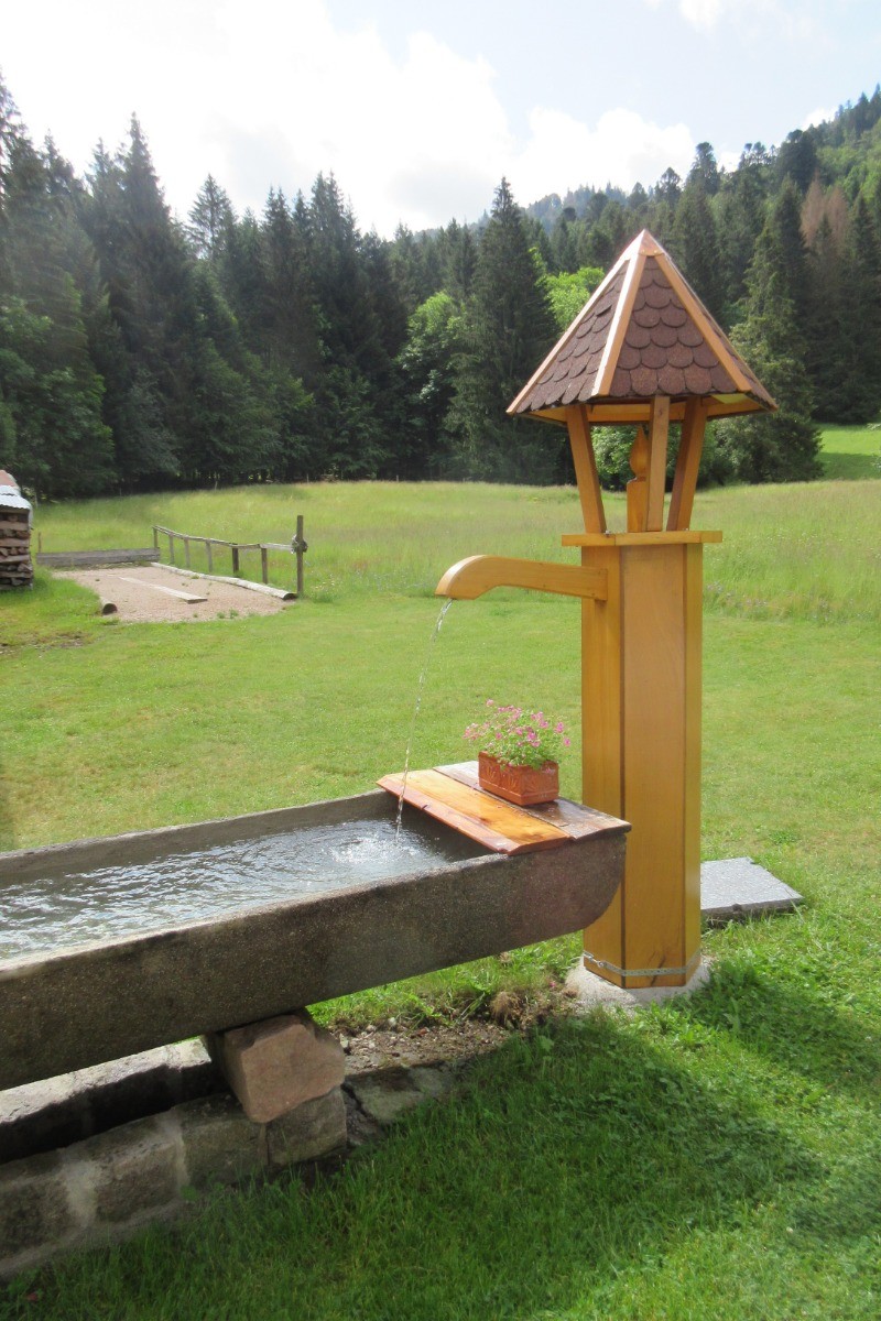 Fontaine devant la maison - Maison au calme entre Gérardmer et La Bresse – Proche lac de Retournemer