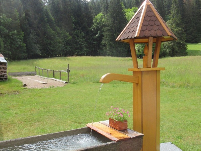 Fontaine devant la maison - Maison au calme entre Gérardmer et La Bresse – Proche lac de Retournemer