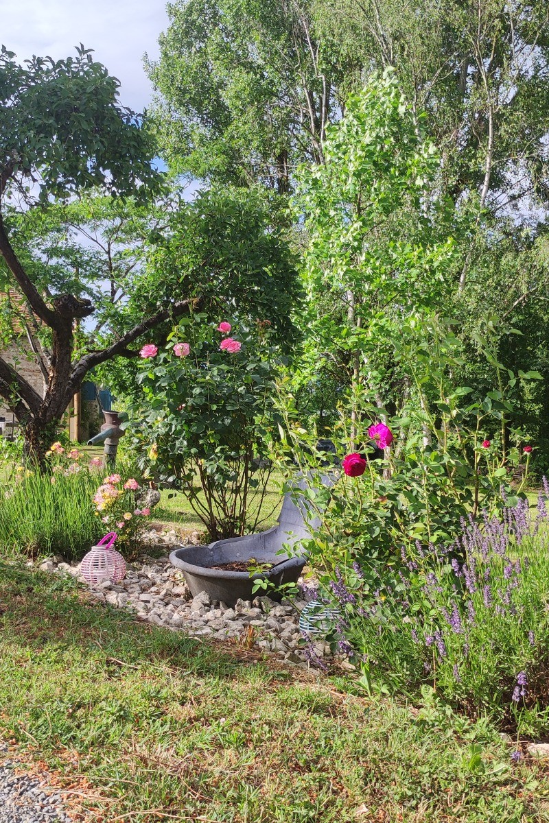 Photo n° 19 of the location