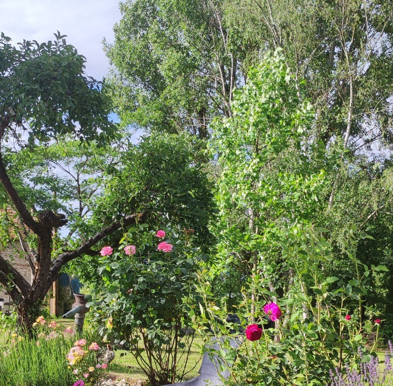 Photo n° 19 de la location