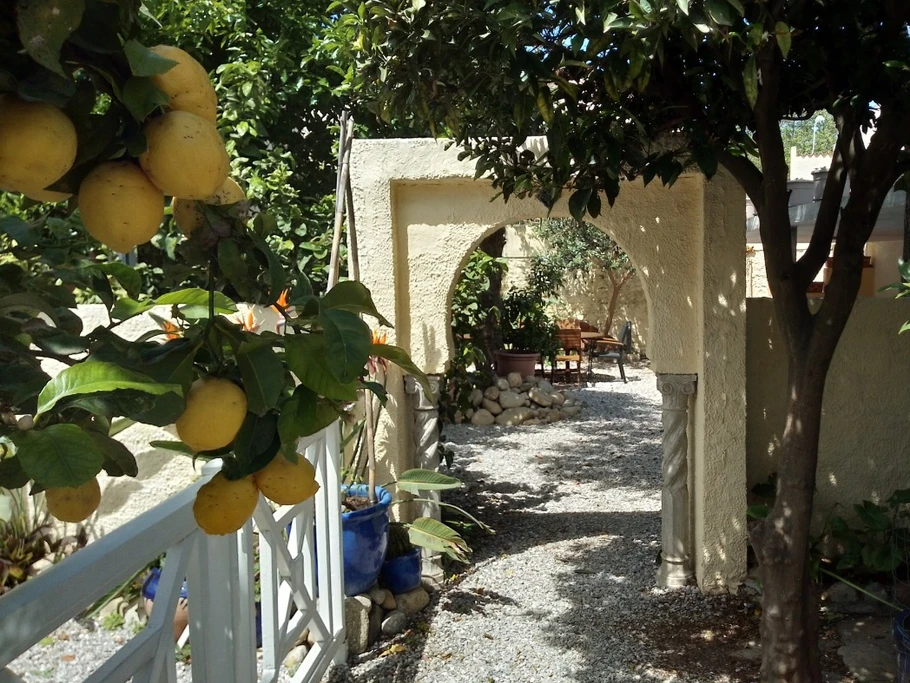 notre jardin