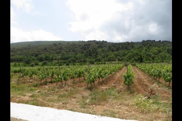 Photo n° 15 of the location