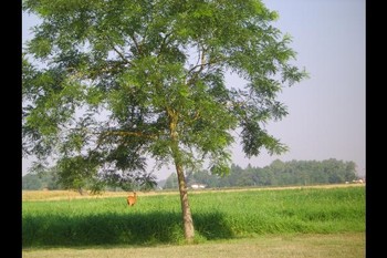 Photo n° 9 de la location