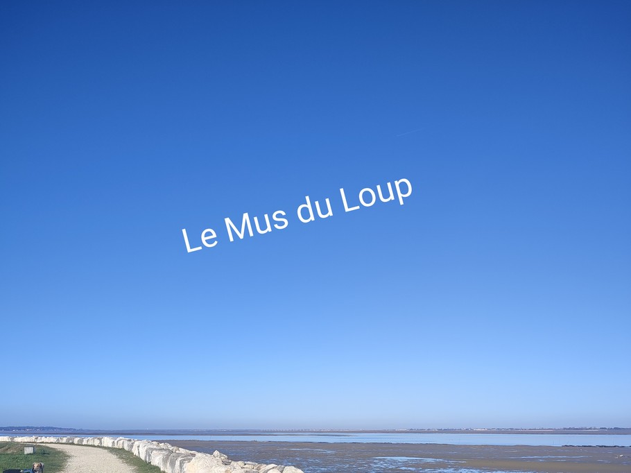 Photo n° 19 de la location