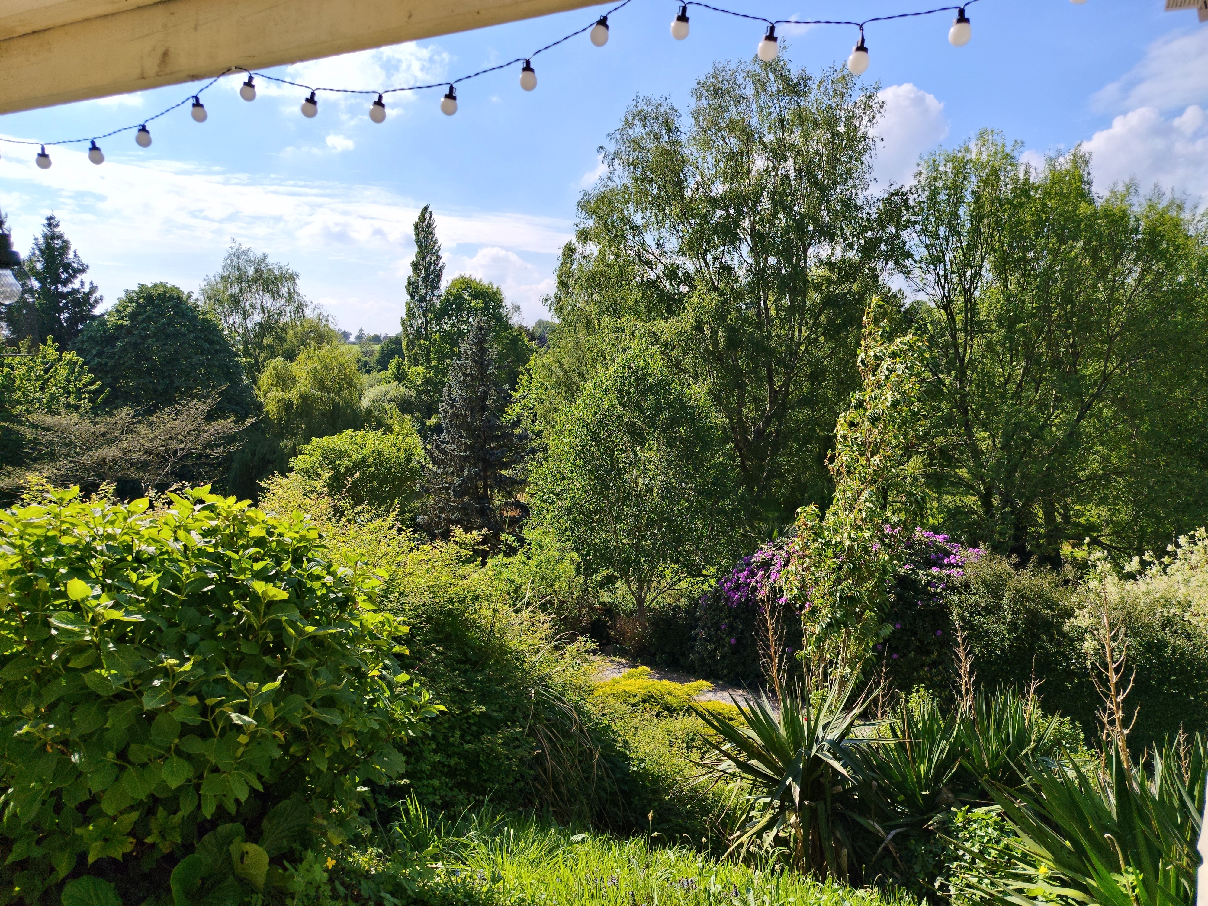 View from the terrace