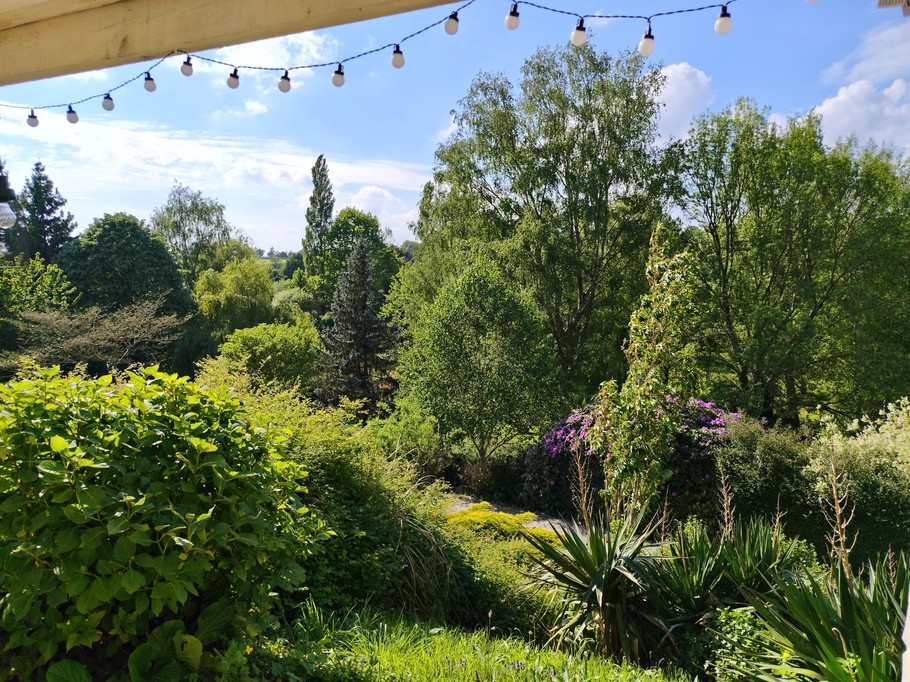 View from the terrace