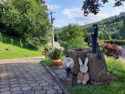 Jardin fleuri
