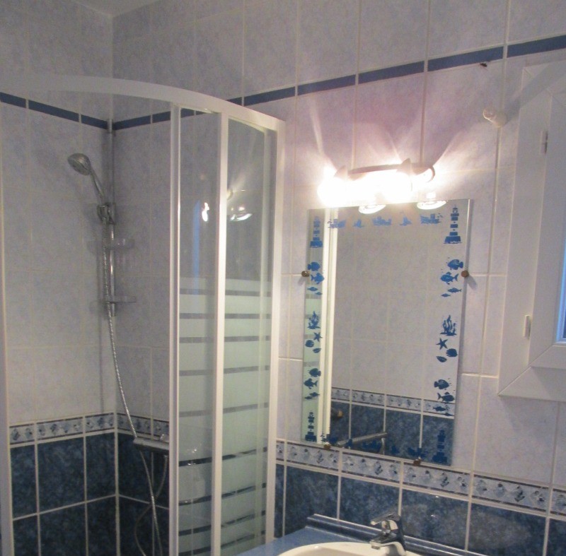 La salle d'eau au rez de chaussée