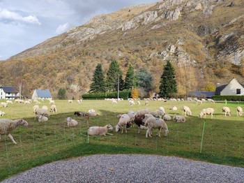 View of the mountain behind the gîtes from our front porch