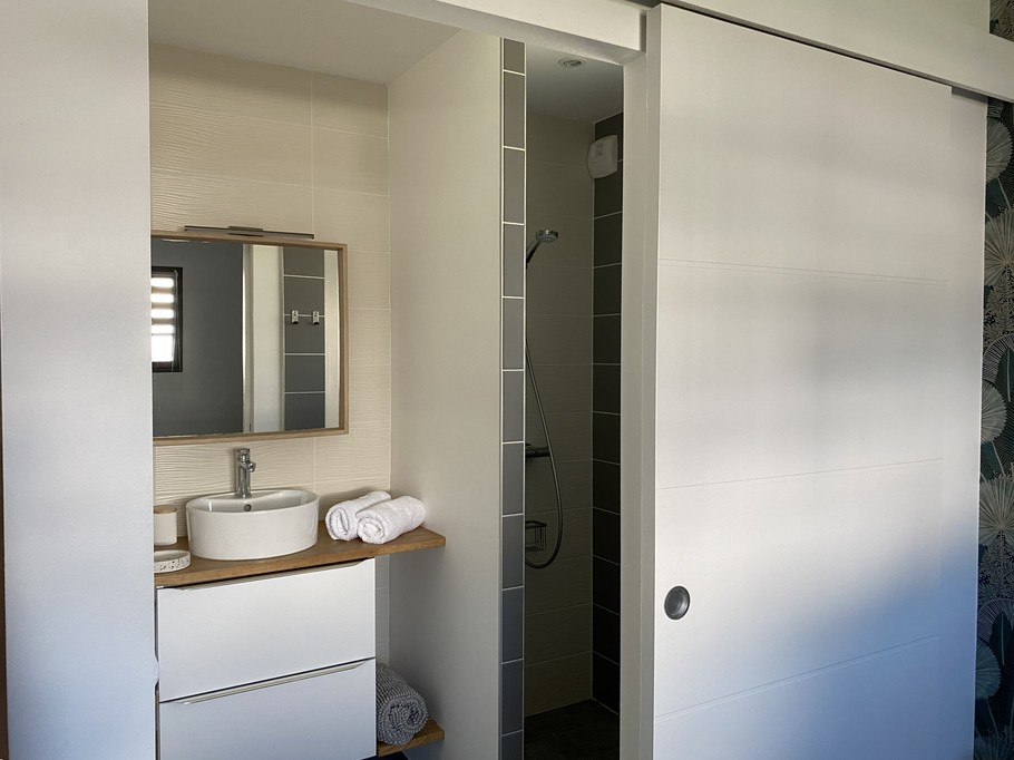 Salle de bain attenante à la chambre avec douche