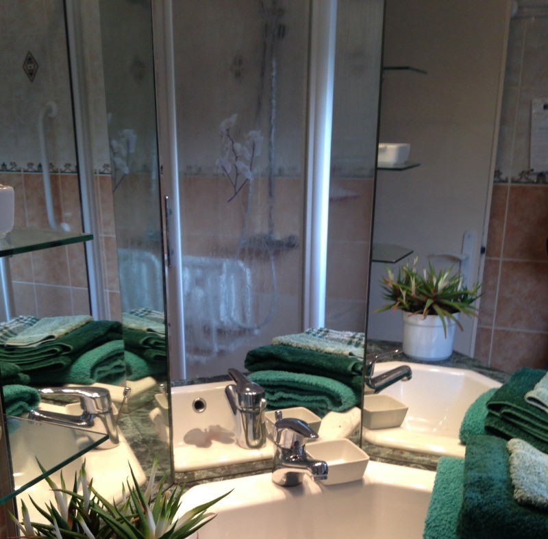 Salle de bain du rez-de-chaussée