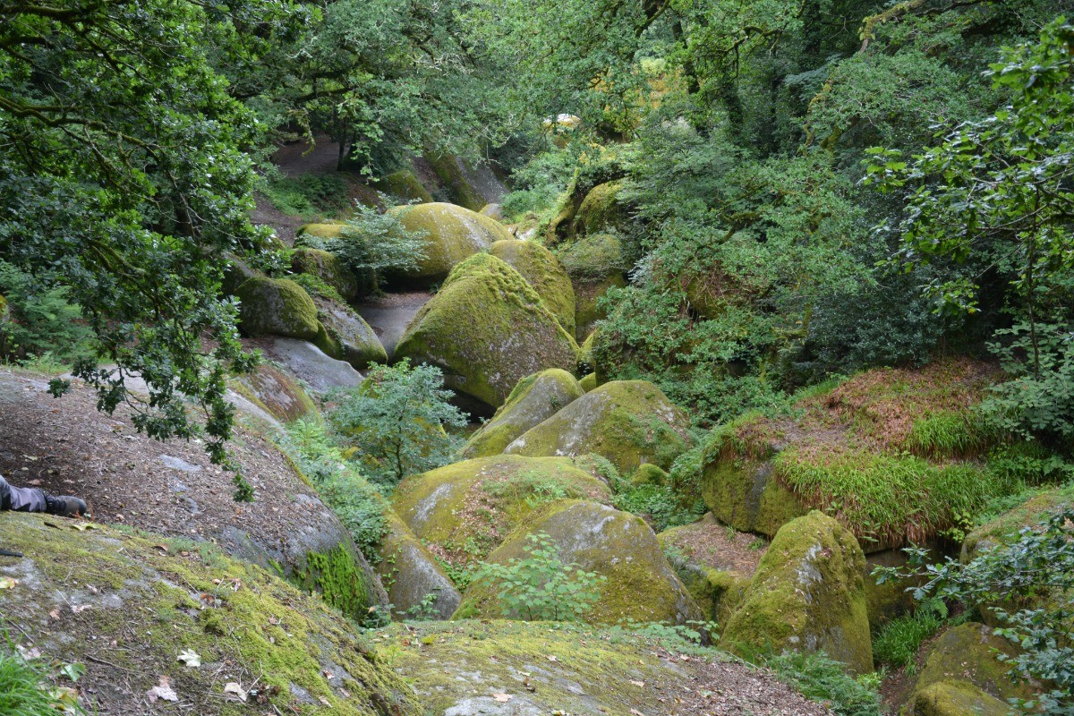 Forêt Bretonne (Huelgoat)
