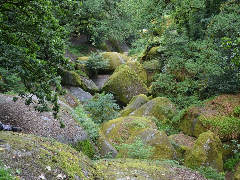 Forêt Bretonne (Huelgoat)