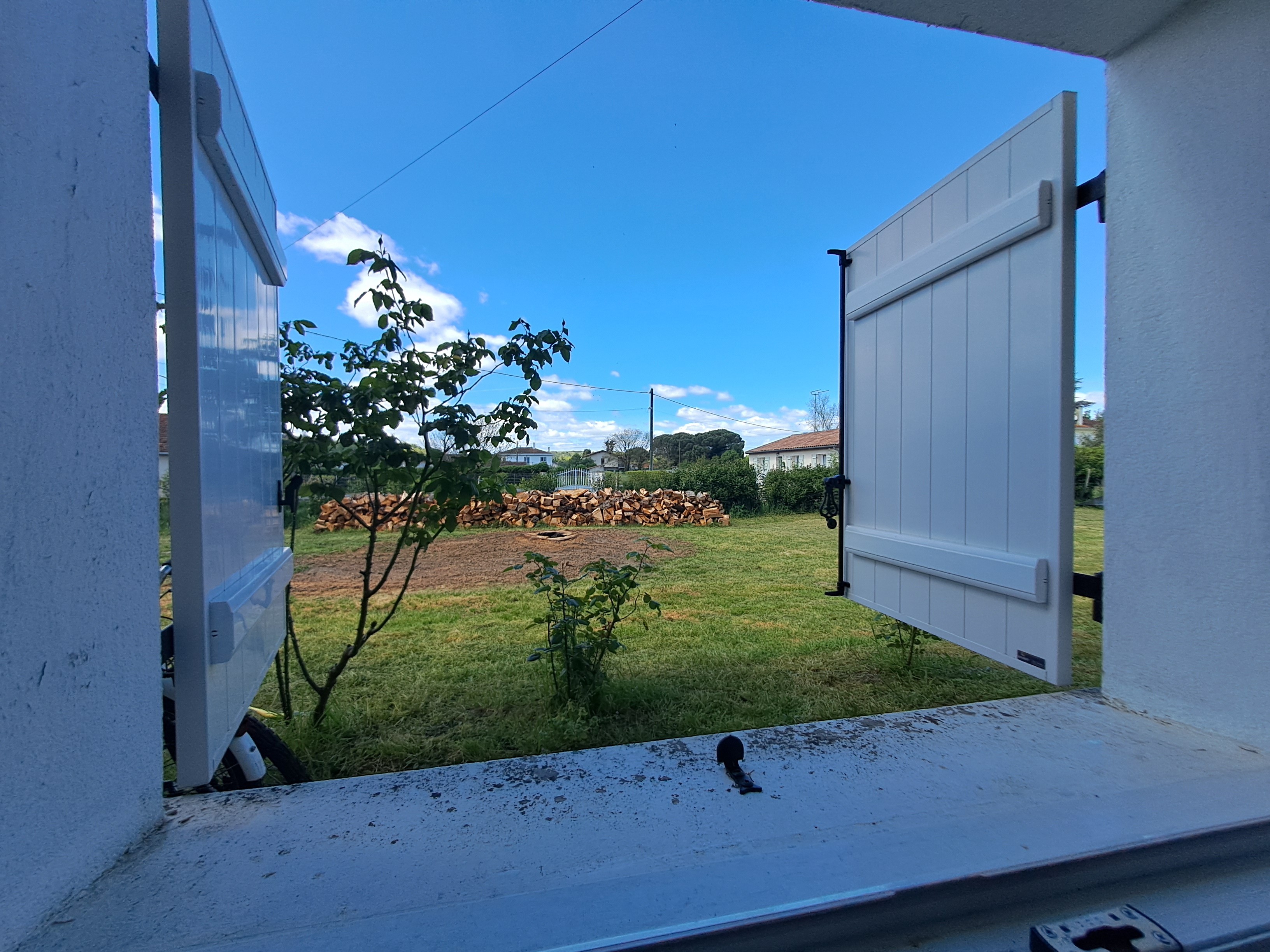 garden view twin room