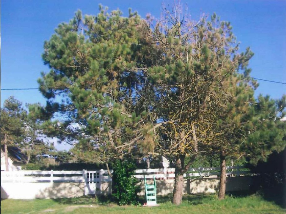 Photo n° 13 de la location