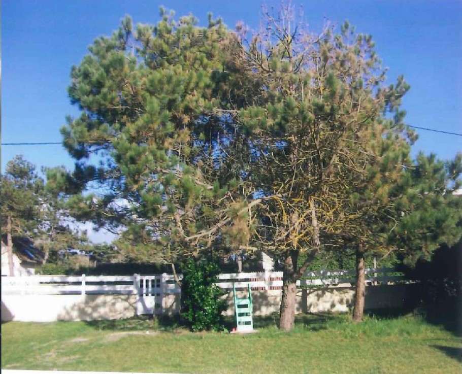 Photo n° 0 de la location