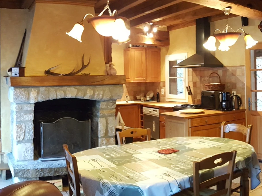 vu pièce principale - coin cheminée et cuisine