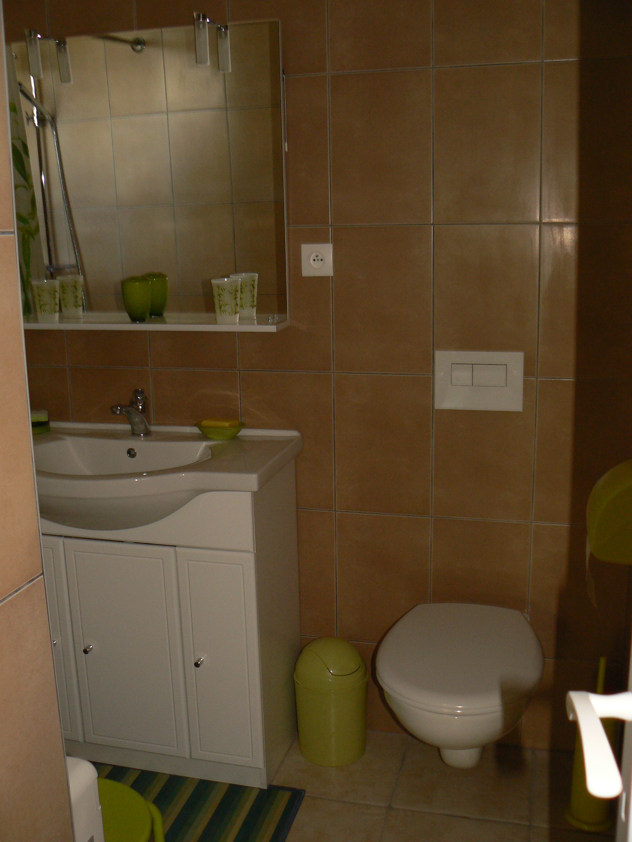 salle d'eau + WC