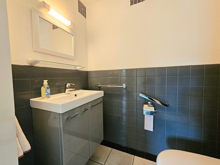 Meuble vasque avec miroir et WC