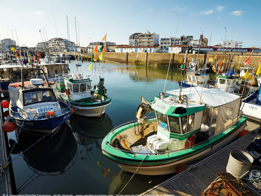 Port de pêche