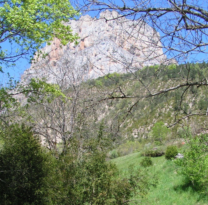 Photo n° 3 de la location