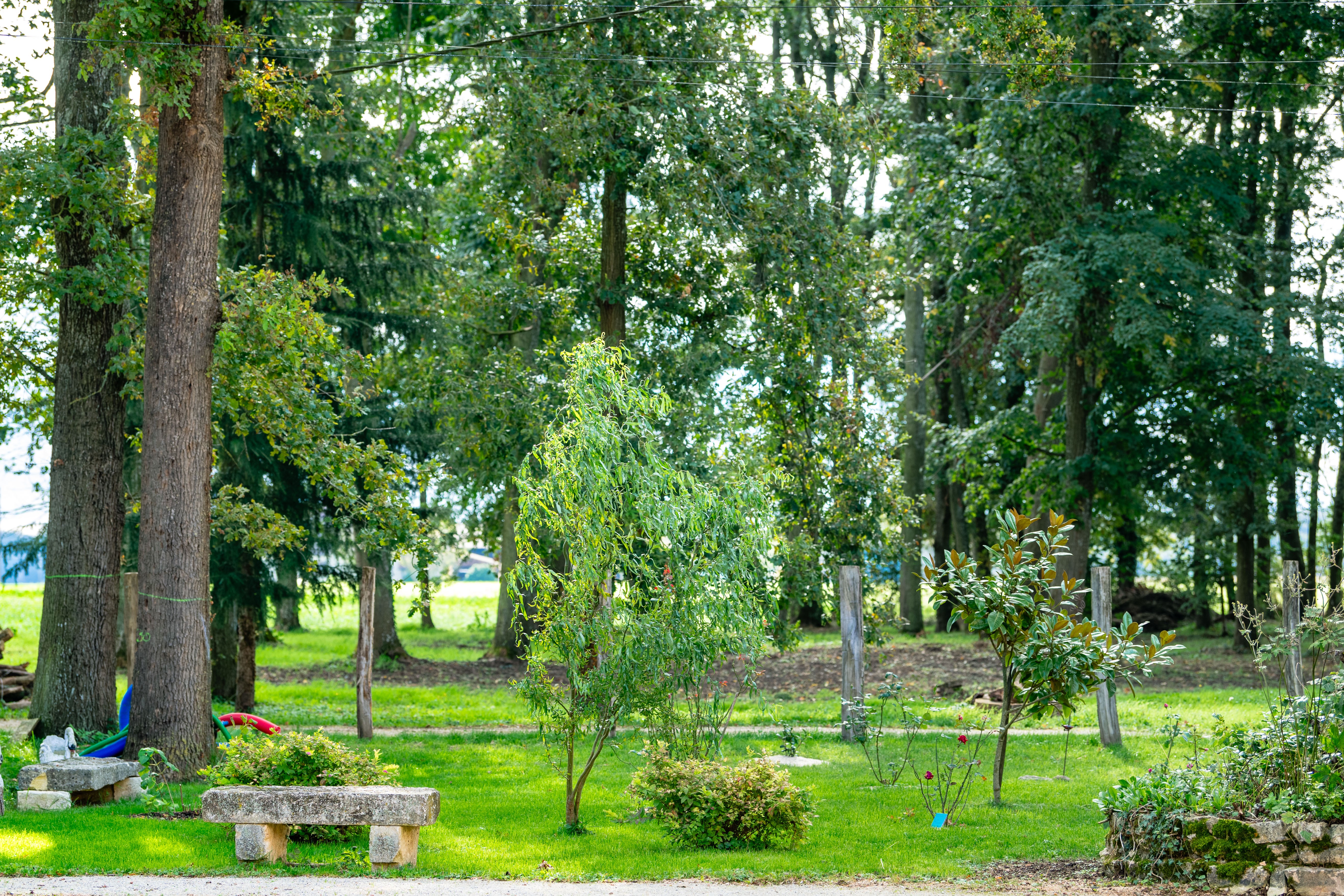 Photo n° 26 of the location
