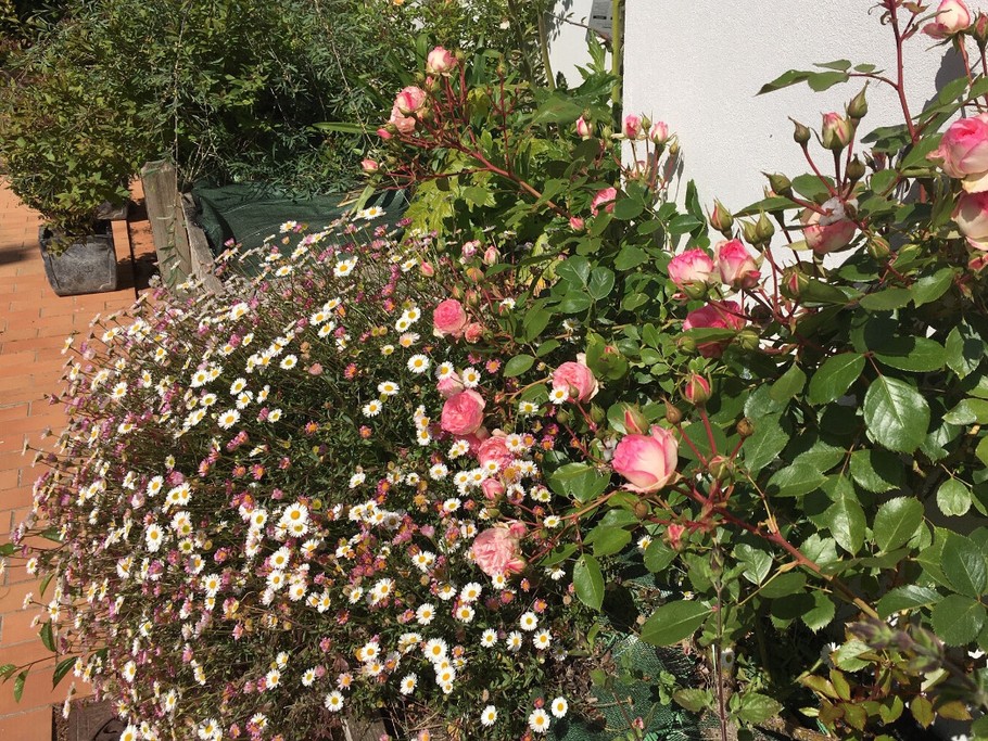 Photo n° 20 de la location