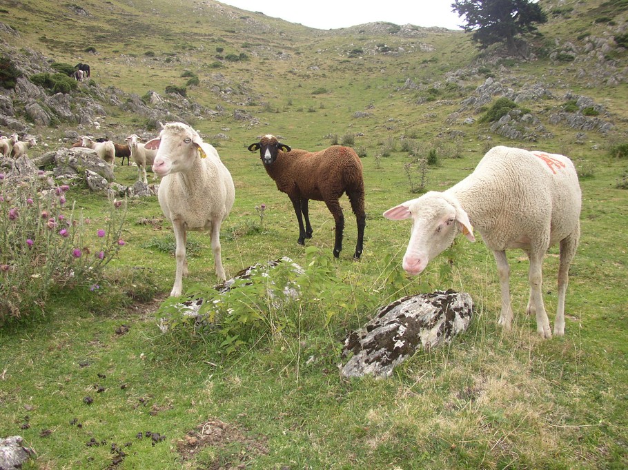 Photo n° 16 de la location